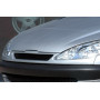 Grille de pare-chocs avant "Rieger Tuning" pour PEUGEOT 206
