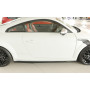 Lame de bas de caisse gauche "Rieger Tuning" pour AUDI TT / TT-S / TT-RS / (8J-FV / 8S)