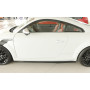 Lame de bas de caisse gauche "Rieger Tuning" pour AUDI TT / TT-S / TT-RS / (8J-FV / 8S)