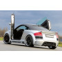 Aileron "Rieger Tuning" pour AUDI TT (8N)