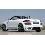 Bas de caisse gauche "Carbon look" "Rieger Tuning" pour AUDI TT (8J)
