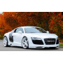 Bas de caisse gauche "noir" "Rieger Tuning" pour AUDI R8 (42)